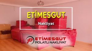 Etimesgut nakliyat